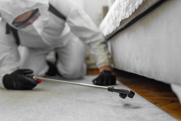 Professional Bed Bug Control technician working in Waukon, IA