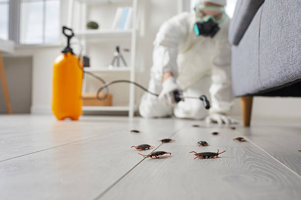 Trusted Termite Control service in Waukon, IA - Nex Pest Control